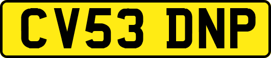 CV53DNP