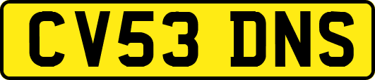 CV53DNS