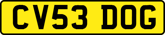 CV53DOG