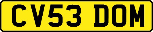 CV53DOM