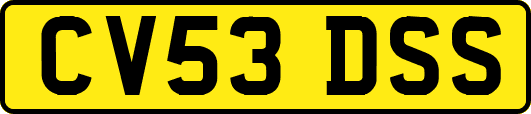 CV53DSS