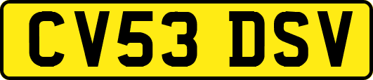 CV53DSV