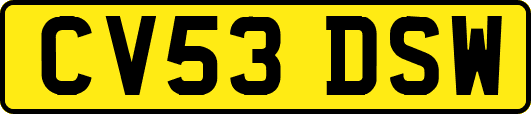 CV53DSW