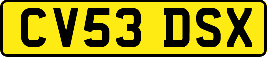 CV53DSX