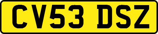 CV53DSZ
