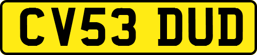 CV53DUD