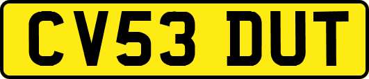 CV53DUT
