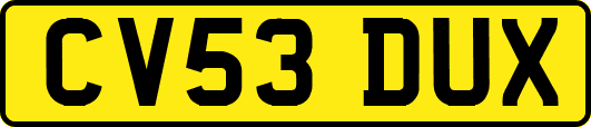 CV53DUX