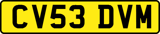CV53DVM