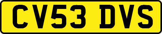CV53DVS