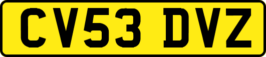 CV53DVZ