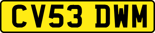 CV53DWM