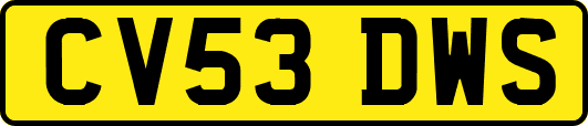CV53DWS