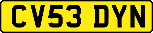 CV53DYN