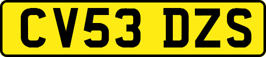 CV53DZS