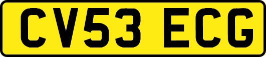 CV53ECG