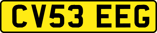 CV53EEG