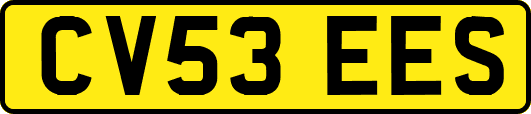 CV53EES