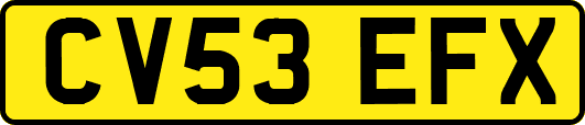 CV53EFX
