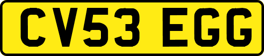 CV53EGG