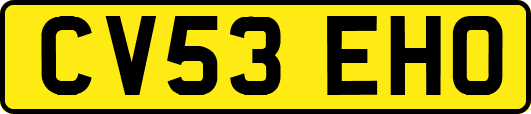 CV53EHO