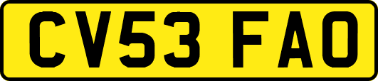 CV53FAO