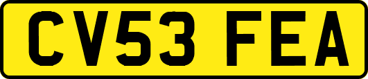 CV53FEA