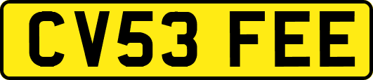CV53FEE