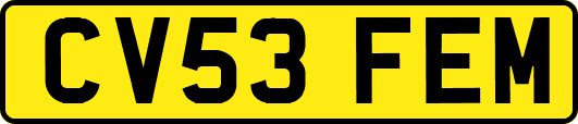 CV53FEM