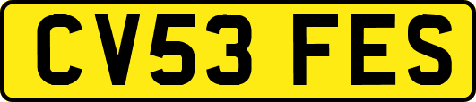 CV53FES