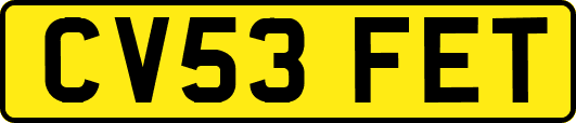 CV53FET