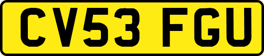 CV53FGU