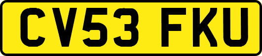 CV53FKU