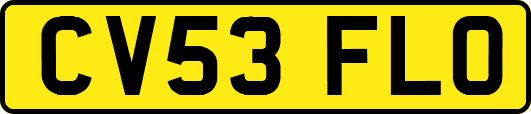 CV53FLO