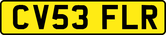 CV53FLR