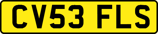 CV53FLS