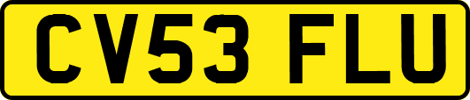 CV53FLU