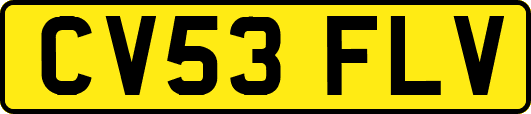 CV53FLV