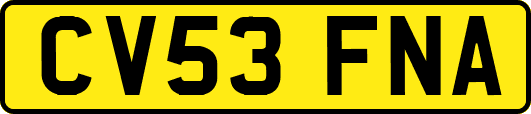 CV53FNA