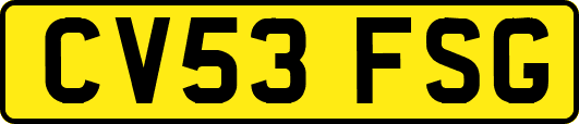 CV53FSG