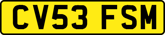 CV53FSM
