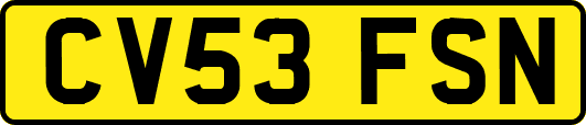 CV53FSN