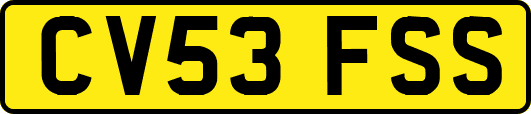CV53FSS