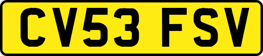 CV53FSV