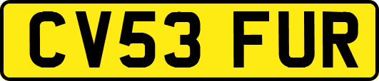 CV53FUR