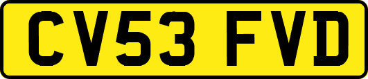 CV53FVD