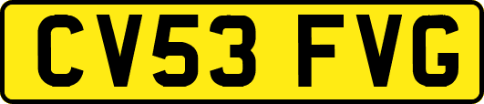 CV53FVG