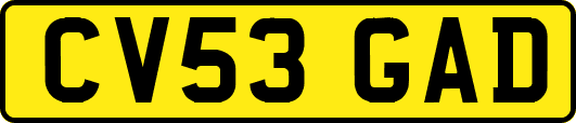 CV53GAD