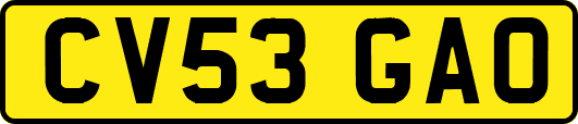 CV53GAO