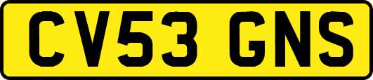 CV53GNS